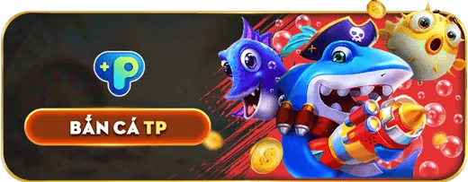 Chính sách quyền riêng tư rõ ràng của vt999