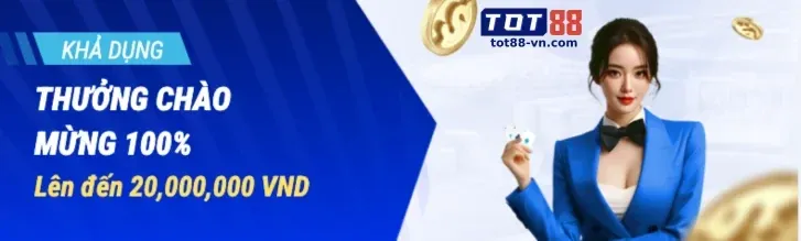 Các loại Cookie mà vt999 sử dụng
